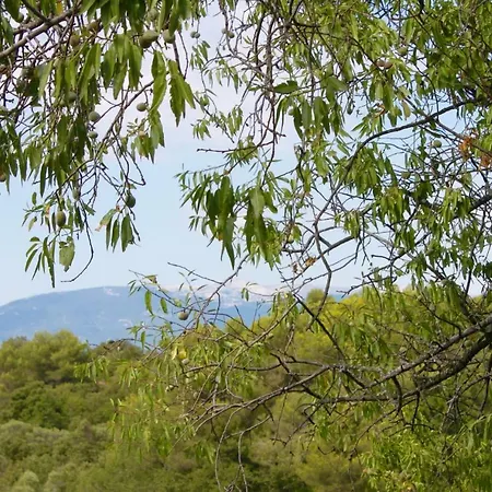 Mas De La Gonnette Holiday home